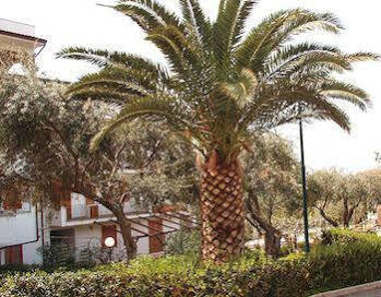 Residence L'Uliveto Gioiosa Marea Dış mekan fotoğraf